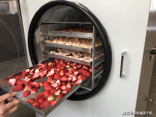 冷凍干燥技術在乳化油食品中的應用與前景